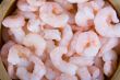 Shrimps close-up