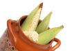 Corns on the cobs in pot 3