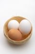 Eggs on nest