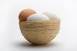 Eggs on nest 5