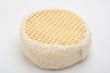 Sponge