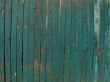Green fence