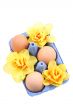 Easter decoration