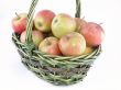 apples