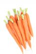 fresh carrots