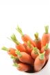 fresh carrots