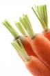 fresh carrots