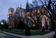 Night Notre Dame. Paris