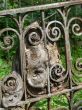 Tree and Metal Ancient Interlacing
