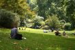 The people have a rest in park