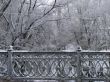 Spring snowy morning riverside