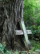 Aged broken wooden cross near huge wood