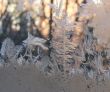 Hoarfrost on window glass