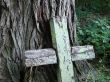 Aged broken wooden cross