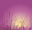 Grass vector silhouette and sunset