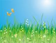 Flowers, grass and butterfly