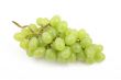 green grapes