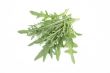 lettuce - rucola
