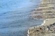 beaches
