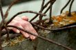 Prisoner. Hand