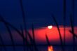 The sun and water