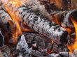 Flaming wooden coal logs of camping fireplace