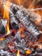 Flaming wooden coal logs of camping fireplace