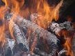 Flaming wooden coal logs of camping fireplace