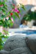 Leaves on pool