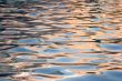 Pool water 2