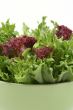 lettuce