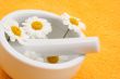 camomile