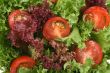 lettuce and tomatoes