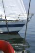 Summer and sailing