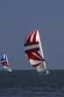 Sailing. The winner and losed.