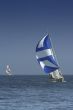 Sailing. The winner and losed
