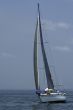 Regatta