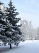 wintry frosty snowy weather
