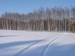 Winter snowy road thru white field