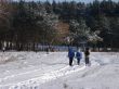 Group walking by winter snowy road