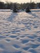Winter snowy landscape with fur-trees