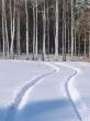 Winter snowy road thru white field