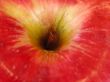Abstract apple hole