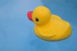 Rubber Ducky