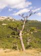 Mountain landscape