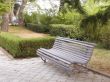 Bench in park