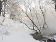 Winter landscape