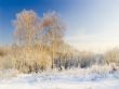  frosty sunny day