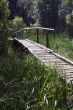 Woods Bridge