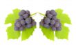 Some clusters of a grapes